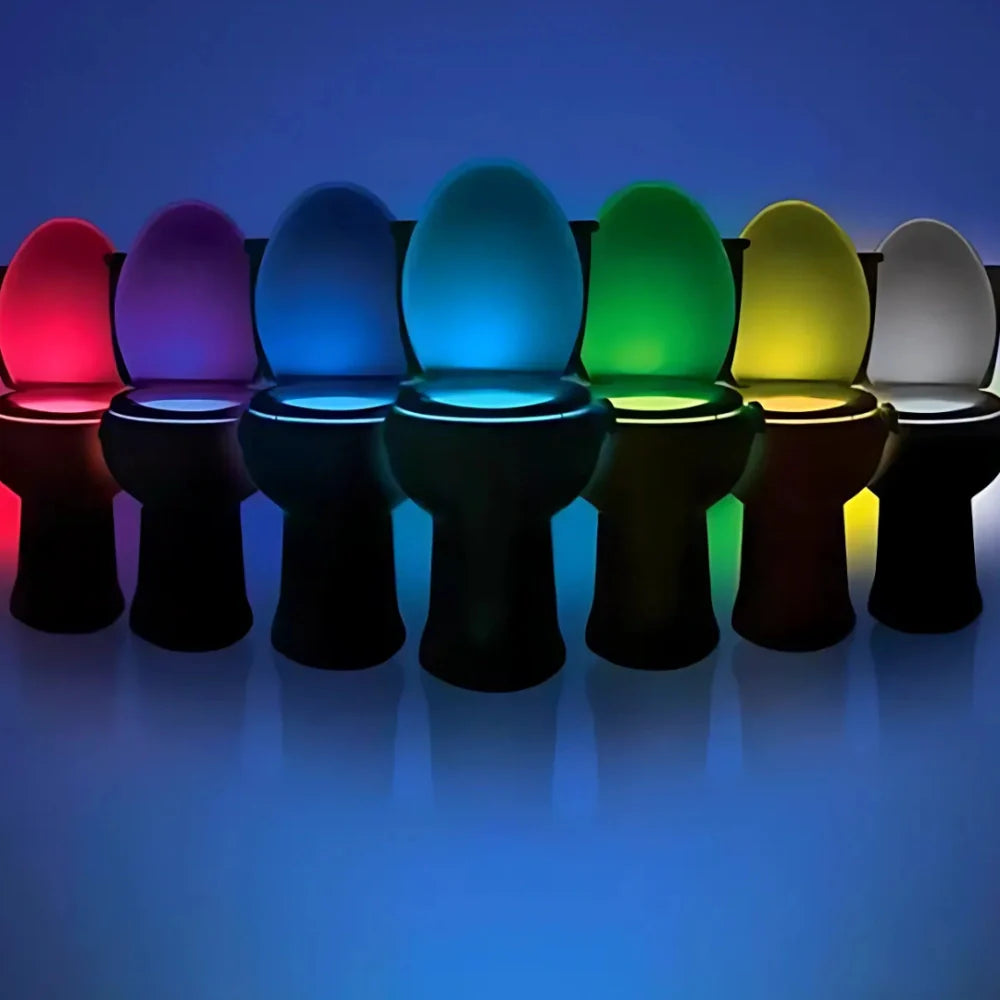 Toilet Night Light