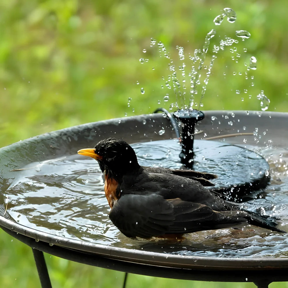 Solar Powered Radiance Fountain