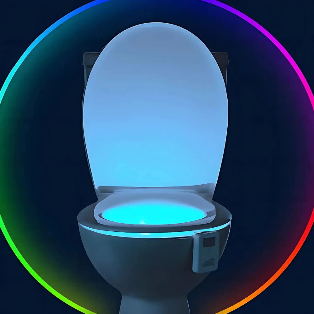 Toilet Night Light
