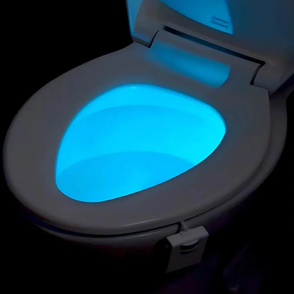 Toilet Night Light
