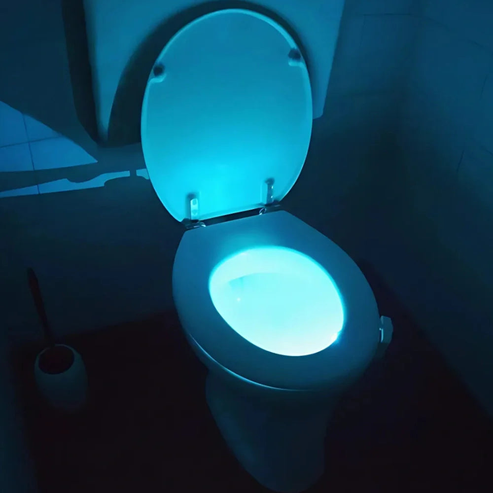 Toilet Night Light