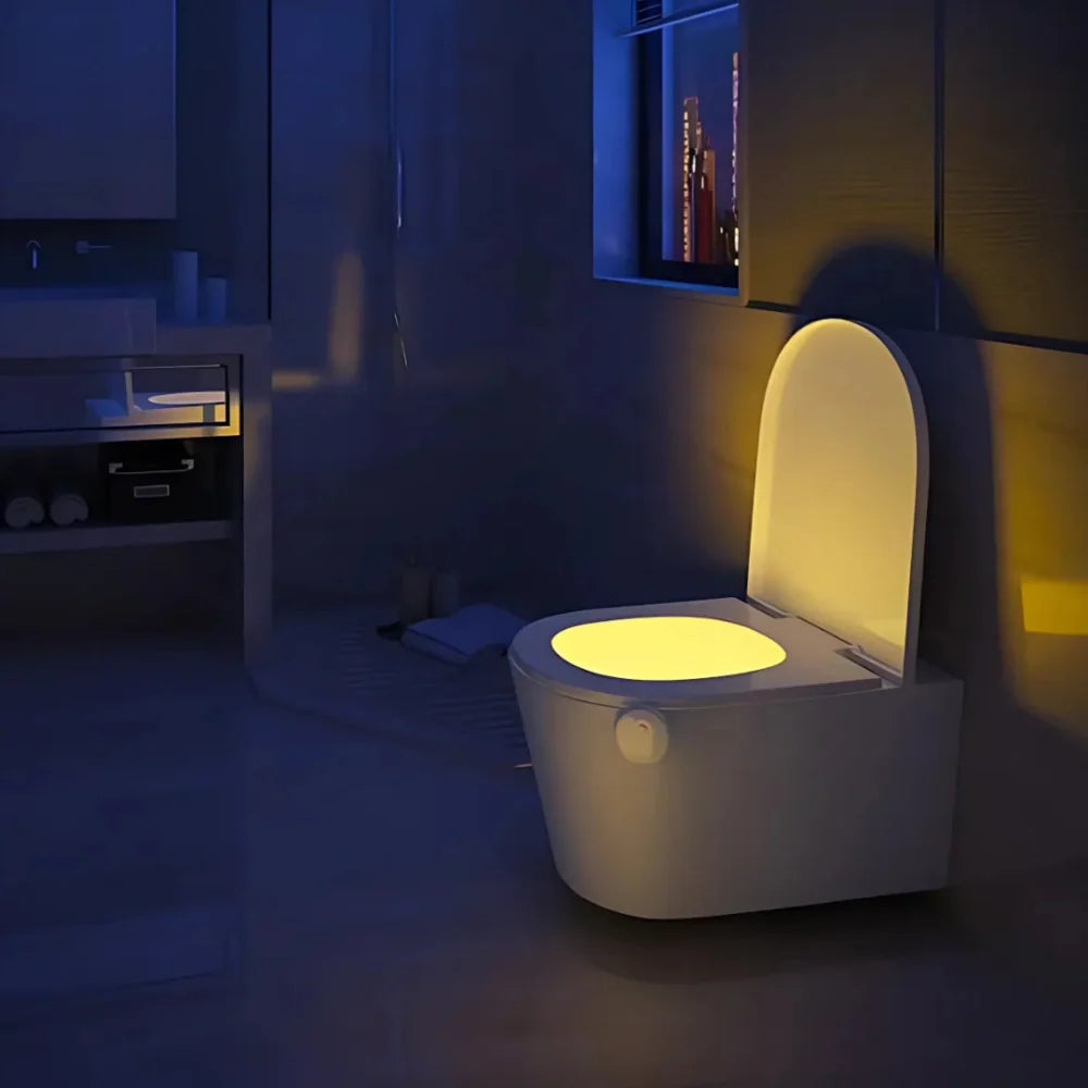 Toilet Night Light