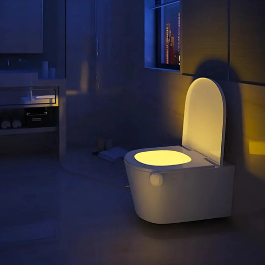 Toilet Night Light