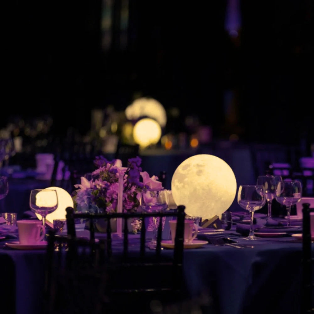 Selene™ Moon Garden Light