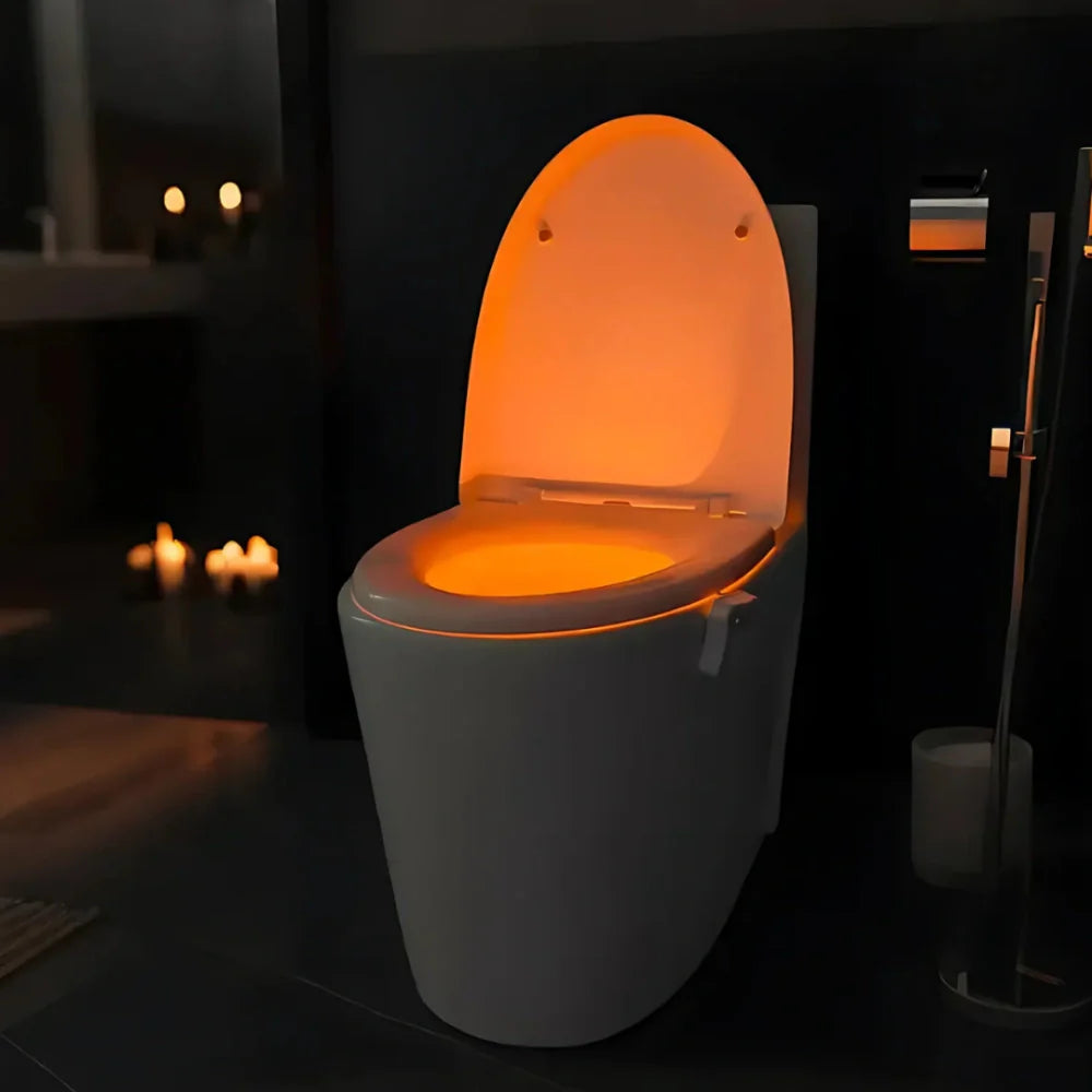Toilet Night Light