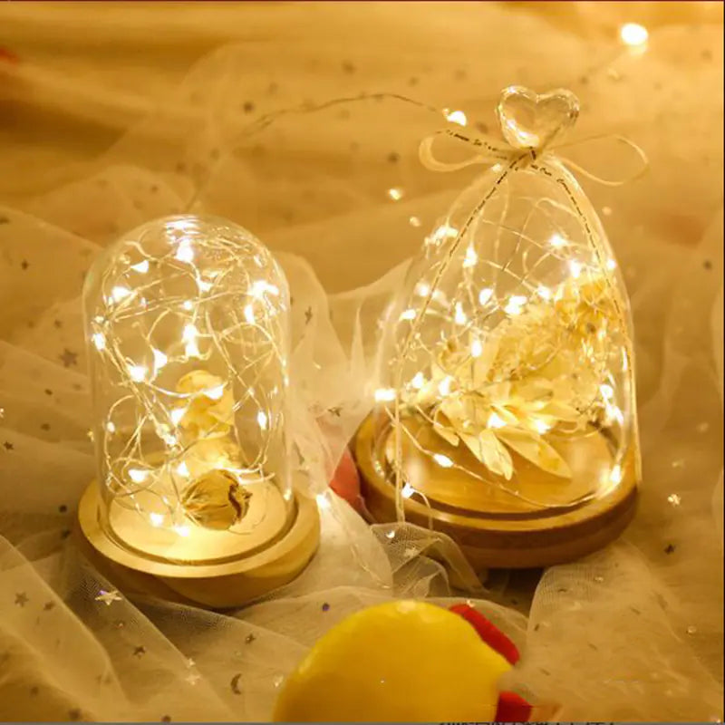 Solar Glow Wire Lights